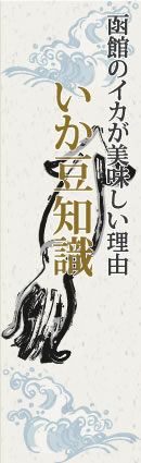 函館のイカが美味しい理由 いか豆知識